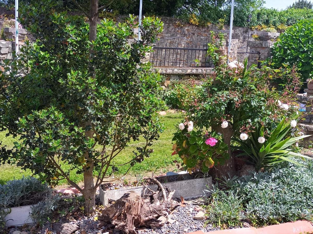 קודילרו Hotel Vitorio מראה חיצוני תמונה